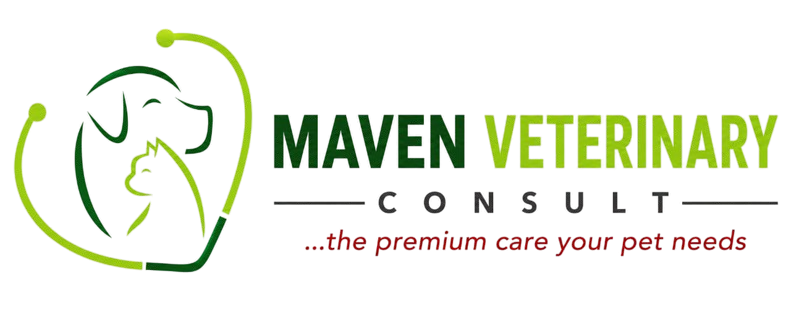 Maven Veterinary Consult Logo